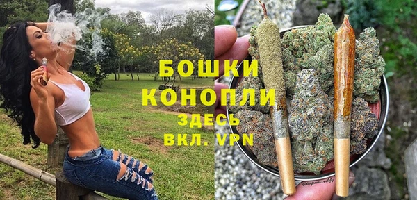 spice Михайлов