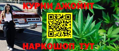 ешки Новодвинск
