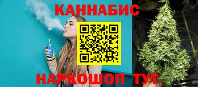 ешки Новодвинск