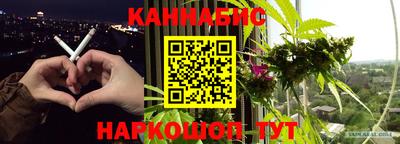 ешки Новодвинск