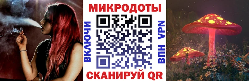 Галлюциногенные грибы Psilocybine cubensis  Купить где  Рассказово 