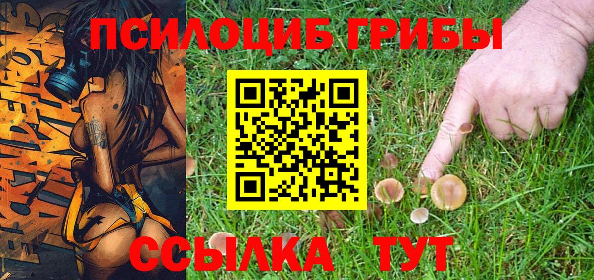 Псилоцибиновые грибы мицелий Рассказово